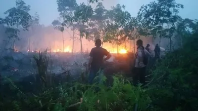 Kebakaranh hutan dan lahan (Karhutla)/fin.co.id