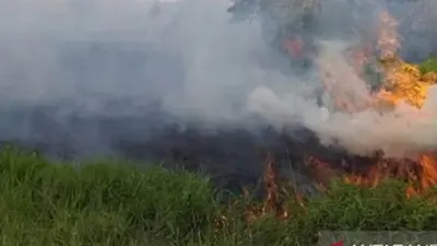 Salah satu titik kebakaran lahan di Penajam Paser Utara, Kalimantan Timur/Antara