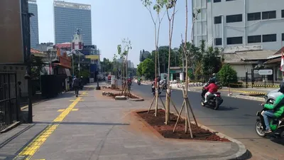 Pohon di Cikini, Jakarta Pusat diremajakan/PPID DKI Jakarta