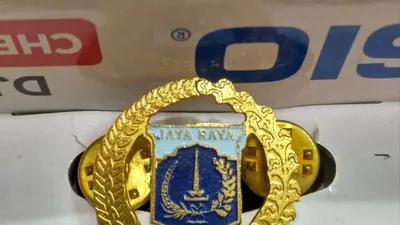 Ilustrasi (Antara)