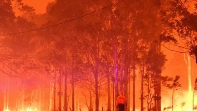 China Dilanda Kebakaran Hutan Tewaskan 19 Orang