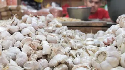 Pedagang bawang putih sedang menunggu pembeli di Pasar Induk Kramat jati, Jakarta Timur, Jumat (07/02). [Suara.com/Alfian Winanto]