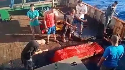 sebagai ilustrasi perlakuan kurang manusiawi ABK WNI yang bekerja di kapal asing/ dok