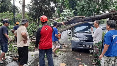 Mobil tertimpa pohon setelah angin kencang menerpa Daerah Istimewa Yogyakarta, Minggu (8/12/2019). (Dok. BNPB)