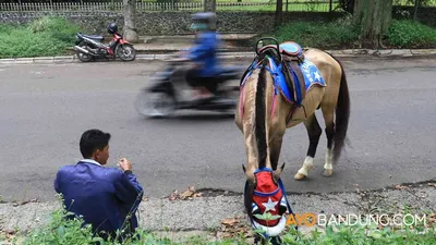 [ilustrasi] Seorang penyewa jasa wisata kuda tunggang menunggu pelanggan di Jalan Ganesha, Kota Bandung, Selasa (26/5/2020). Selama pandemi ini, pendapatannya menurun drastis. (Ayobandung.com/Irfan Al-Faritsi)