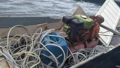 KKP Tangkap Basah 4 Pelaku Bom Ikan di Perairan Sulteng (Republika)