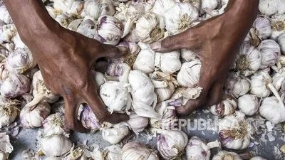 Bawang putih (ilustrasi)  Foto: Republika/Abdan Syakura