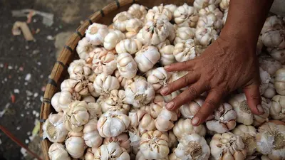Bawang Putih (AyoBandung)