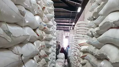 ilustrasi stok beras Bulog