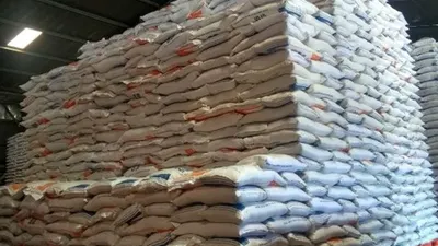 Stok beras untuk DKI Jakarta masih tersimpan sebanyak 26.747 ton di Pasar Induk Beras Cipinang per 10 April 2020. Dengan jumlah sebanyak itu, stok beras di Jakarta dipastikan aman. (Medcom.id/Kautsar Widya Bowo)