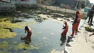 Petugas gabungan Kelurahan Pulau Panggang melakukan penyisiran sampah di Pulau Pramuka dalam menyambut Adipura 2019 (pulauseribu.jakarta.go.id)