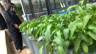 Riani Soedarmo mengajak ojol budidaya lele dan kangkung. (Ayobandung/Tri Junari)