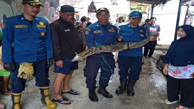 Petugas Pemadam Kebakaran (Damkar) Sektor IX Kecamatan Pasar Minggu, Jakarta Selatan berhasil mengevakuasi seekor biawak dari rumah warga di Jalan Raya Kebagusan RT 5/1.  (selatan.jakarta.go.id)