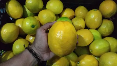 Buah lokal (Humas Kementan RI)