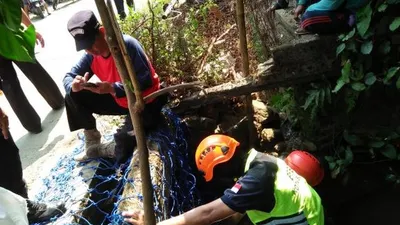 Warga bersama BPBD mencari buaya yang belum ditemukan