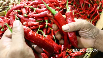 Cabai Rawit Merah (AyoBandung)