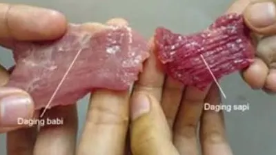 Ilustrasi perbandingan warna daging sapi dengan daging babi (Kompas.com)