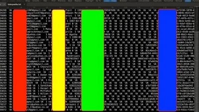 Data pengguna Tokopedia yang terekspos
