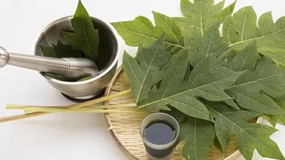 manfaat daun pepaya untuk meredakan demam (Shutterstock)