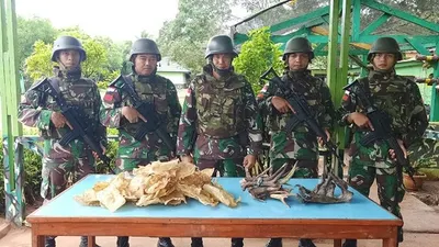 Penyelundup Gelembung Ikan dan Tanduk Rusa Diamankan di Perbatasan RI-PNG
