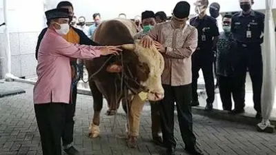 Gubernur Anies Baswedan menyerahkan sapi kurban di Masjid Fatahillah, Balai Kota, Jumat (31/7/2020). (Suara.com/Fakhri Fuadi)