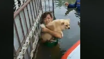 Warga korban musibah banjir di Perumahan Green Ville, Jakarta Barat, menyerahkan hewan peliharaannya kepada petugas penyelamatan. (Facebook Kompas.com)