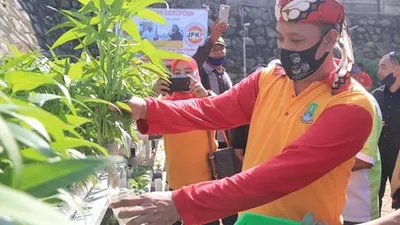Wakil Wali Kota Bekasi Tri Adhianto Tjahyono melakukan panen sayuran hidroponik (dok Humas Pemkot Bekasi)
