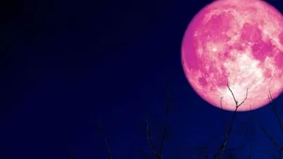 Ilustrasi Bulan Stroberi