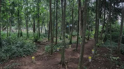 Hutan Kampung di Kelurahan Cilendek Barat, Kecamatan Bogor Barat, yang disulap warga menjadi taman seluas 1,4 hektare. (dok)