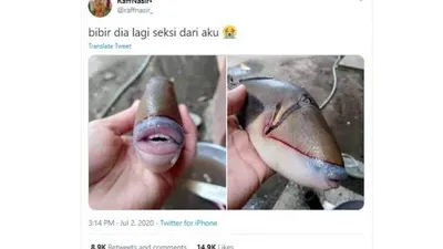 Ikan aneh bergigi manusia. [Twitter]