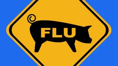 [Ilustrasi] Kemenkes waspadai flu babi G4 masuk ke Indonesia. (shutterstock)