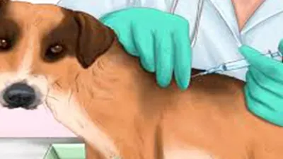 Ilustrasi HPR (Baliberkarya.com)