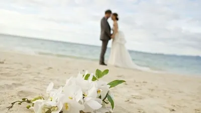 Ringankan Calon Pengantin, Ini Panduan Daftar Online KUA