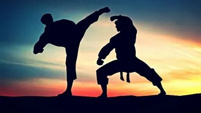 Ilustrasi pencak silat (Metrum.co.id)
