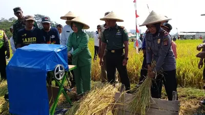 Panen Raya Padi di Kelurahan Mulyaharja. (ayobogor.com/Husnul Khatimah)