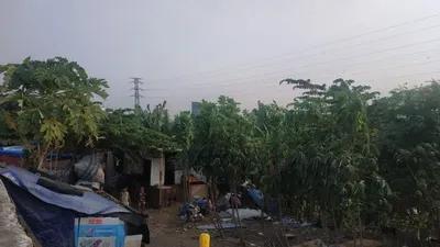 Kondisi gubuk liar di bantaran sungai Banjir Kanal Barat di Jati Pulo, Jakarta Barat, Rabu (3/7/2019) (ANTARA/Asep Firmansyah)