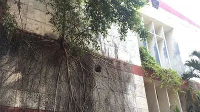 Dinding kusam salah satu sudut gedung yang dirambati tanaman liar di Eks Bandara Kemayoran, Jakarta Pusat, Jumat (19/7/2019). (ANTARA/AstridFaidlatulHabibah)