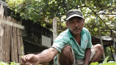 Petani kota, Andiya, menanam benih cabai memanfaatkan lahan kosong di tepi Banjir Kanal Barat Sungai Ciliwung, Tanah Abang, Jakarta Pusat (18/7/2019) (Adnan Nanda) (Antara)