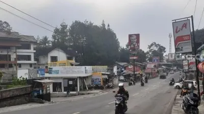 ilustrasi jalur Puncak Bogor/ suara.com