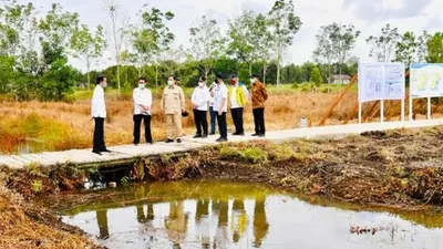 Jokowi Cek Lumbung Pangan di Kapuas
