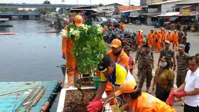 Ratusan Tanaman Penyerap Polutan Hiasi Kali Mookervaart