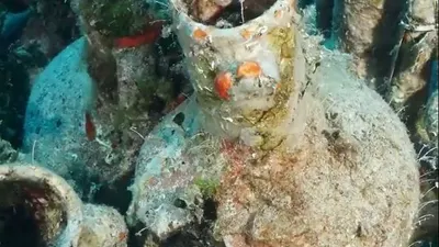 Amphorae, bejana Yunani yang berada di dalam bangkai kapal. (Kostas Katsioulis /Undersea