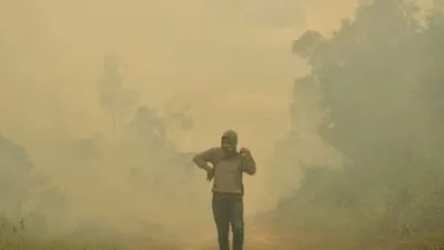 Ilustrasi kebakaran hutan dan lahan