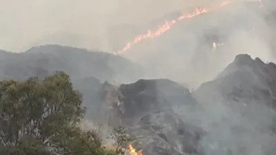 Kebakaran hutan dan lahan di Taman Nasional Gunung Ciremai (TNGC) Kabupaten Kuningan, Jawa Barat/Dok Tribunnews
