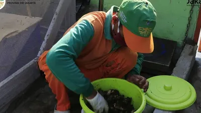 3 Upaya Pemprov DKI Kurangi Sampah Rumah Tangga di Jakarta, Salah Satunya Biokonversi Lalat!