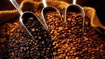 Biji kopi (Takefivecoffeebar)