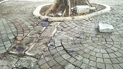Tempat kejadian perkara ledakan granat asap di kawasan taman Monas yang melukai dua orang anggota TNI pada Selasa pagi (3/12/2019). (Ayojakarta.com/Aprilia Rahapit)