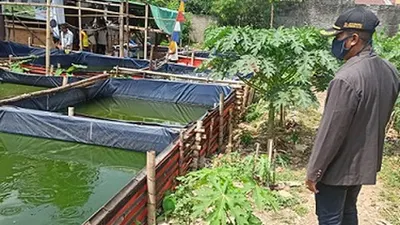 Warga Jati Cempaka, Bekasi mengembangkan budidaya ikan lele di masa pandemi/Humas Pemkot Bekasi