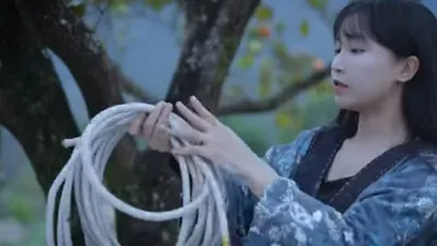 Li Ziqi (YouTube)