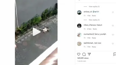 Seekor monyet menyeret anak kecil hingga terjatuh (Instagram)